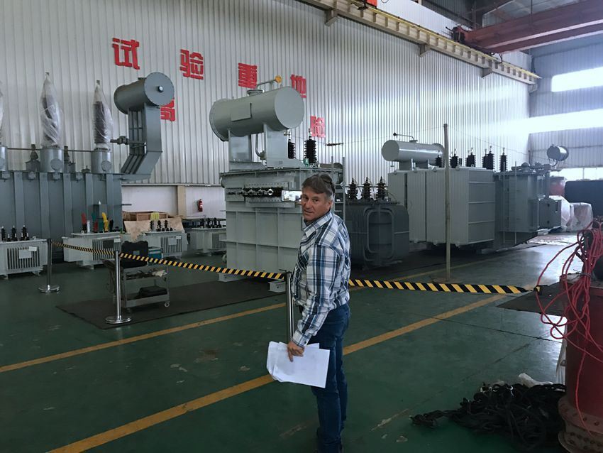 6.3 MVA ONAN Oil Immersed Power Transformer Tranfo with OLTC 33KV To 33KV