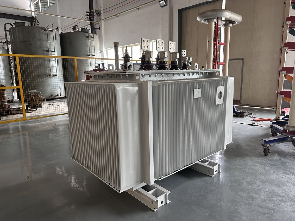 3MVA-6.6/0.525kV Oil Immersed Distribution Transformer