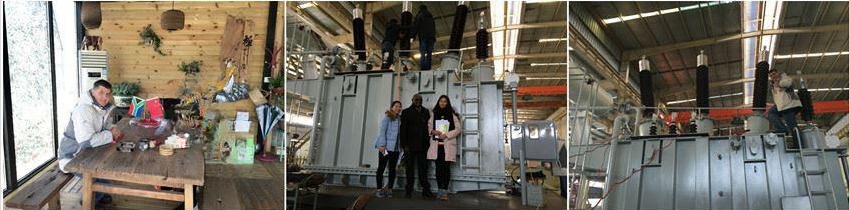 20 MVA 20000 KVA 132KV To 11KV Three Phase Power Transformer with OLTC