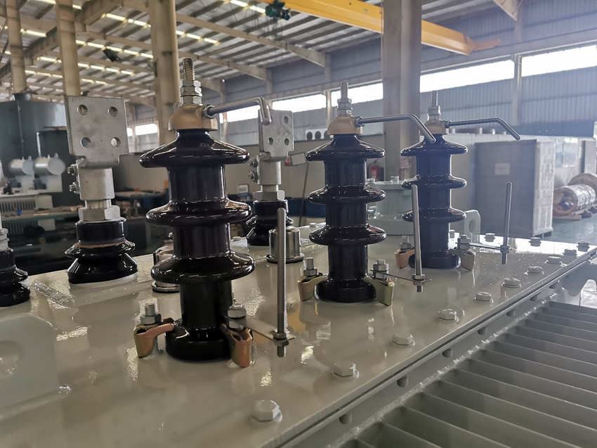 1000 KVA 10(6.6)/0.4 KV Double High Voltage Transformer